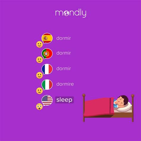 sleep traduction|sleeping in different languages.